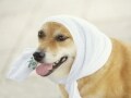 熱中症にならないために覚えておきたい4つのこと