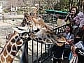 新施設も続々オープン！東山動植物園
