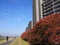 品薄感高まり、新築マンションは値上がりする!?