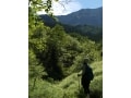 登山で起こりやすいトラブルと対処法