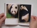 【生活彩るカメラ術1】　いまどきの写真整理術