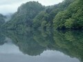 日本の土地、森林、山林、水源林を外資から守れ！