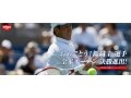 錦織圭関連銘柄はこの4銘柄！
