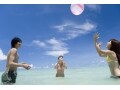 利回り28％超も！旅行好きにはたまらない株主優待銘柄