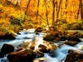 青森県を代表する浅虫温泉のおすすめ旅館