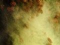 【2015年版】スギ・ヒノキ花粉飛散予想と対策