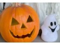意外に知らない?! ハロウィーンの起源と由来