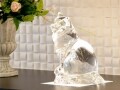 猫に優しい病院という取り組み