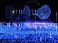 LEDイルミネーション撮影を攻略しよう