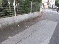 歩いて、見て知る地盤の危険　低地編
