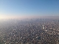 外国人が注目する東京　調べてみるとやっぱりすごい！