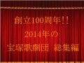 2014年の宝塚歌劇総集編～スターver