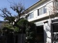 中古一戸建てリノベーション事例「北烏山の家」