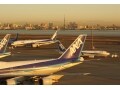2015年はANAの株主優待が狙い目！？