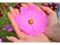 恋人からの“愚痴”で、人生を好転させる方法