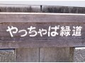 「やっちゃば緑道」とその界隈を歩く