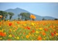 『らしさ』がもたらす、幸せな恋人との未来