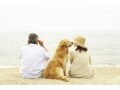 50代で確認すべき家計の現実、資産はいくらある？
