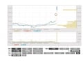 任天堂株に買い殺到！株価を考える窓とは