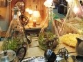 壁アレンジにcafe風照明 楽しいDIYリフォームアイテム