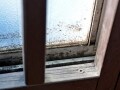 我が家にアレルギーの原因が？住まいの健康リフォーム