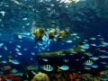子供と楽しむ！アジア最大級の統合型リゾート体験