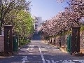 久留米大附設中学校