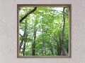庭の景色をインテリアで楽しむ窓リフォーム