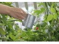 節約・エコ・災害時にも役立つ、雨水タンクって何？