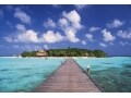海外旅行保険は「ネット通販」が手軽でお得！な理由