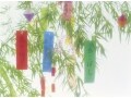 夏ドラマスタートガイド(前)レア？な主演俳優揃い踏み
