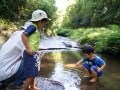 川遊びもできる！鎌倉・朝夷奈切通エコツアー