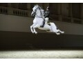 白馬のワルツが圧巻！世界最古のスペイン乗馬学校