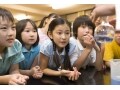 学習効果アップ！博物館や科学館を120％楽しむヒント