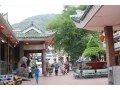 メコンデルタで見つけた自然豊かな町、チャウドック
