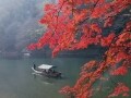 京都の嵐山、紅葉おすすめスポットを一日で巡るコース