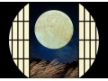 仲秋の名月を英語で説明してみよう！月の種類とお月見の英語解説も