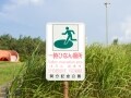 災害時のペット同行避難はどこまで浸透したか？