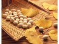 中毒症状はなぜ起こる?　ギンナンの栄養成分と注意点