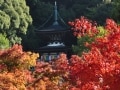 紅葉の季節の京都・東山　永観堂から哲学の道へ