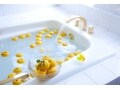 栄養面でも理にかなっている冬至の言い伝え