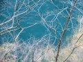 世界遺産級の青い絶景！神奈川の「ユーシン渓谷」へ