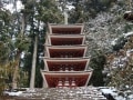 「女人高野」室生寺で出会える、心洗われる雪の情景  