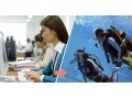 会社帰りに1万円以下でスキューバダイビングできる!?