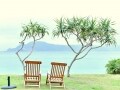 LCC「バニラエア」で行く 奄美大島おすすめ旅プラン