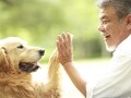 気になる犬種ごとに見られがちな病気や平均余命