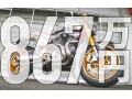 世界に限定10台！867万円のハーレー