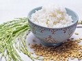 「冷やご飯ダイエット」を徹底解説！ごはんで痩せるダイエット