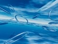 2016年6月株主優待、注目の10万円株はコレ！