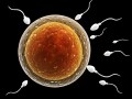 妊娠超初期（妊娠0週,1週,2週,3週）の特徴、自覚症状ってある？